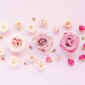 Meet your Posher bella